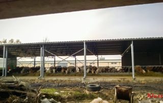 Tetőszerkezet marháknak – Veskóc, Nagykapos